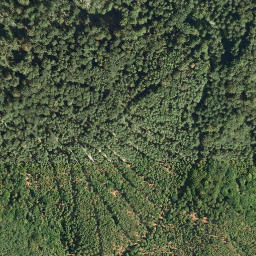 Satellite imagery of Teufelsstein, DE