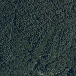 Satellite imagery of Oberes Haupt, DE