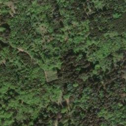 Satellite imagery of Moritzberg, DE
