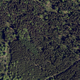 Satellite imagery of Frauenstein, DE