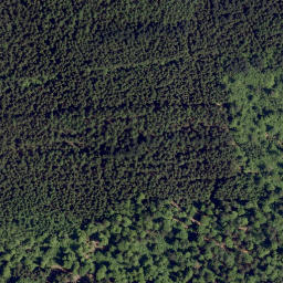 Satellite imagery of Buchsberg, DE