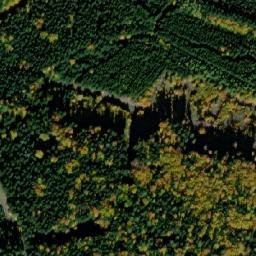 Satellite imagery of (obora Oborský dvůr), CZ