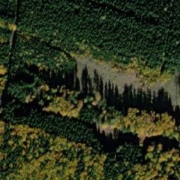 Satellite imagery of (obora Oborský dvůr), CZ