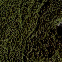 Satellite imagery of Mount Elphinstone, CA