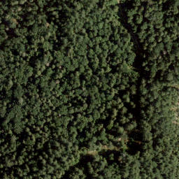 Satellite imagery of Potts Point, CA