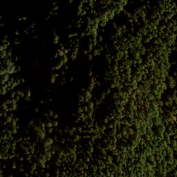 Satellite imagery of Mount Artaban, CA