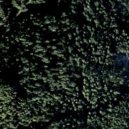 Satellite imagery of Mount Dickens, CA