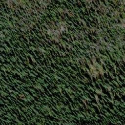 Satellite imagery of Evening Ridge, CA