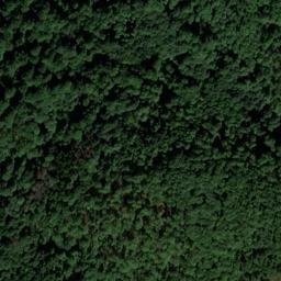 Satellite imagery of Großer Horst, DE