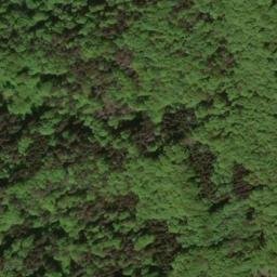 Satellite imagery of Moritzberg, DE