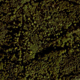 Satellite imagery of Prosberg, DE