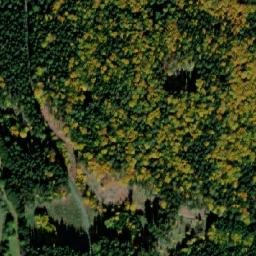 Satellite imagery of (obora Oborský dvůr), CZ