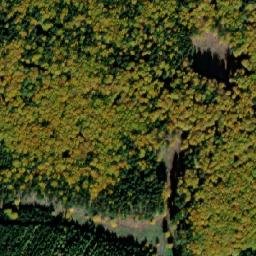 Satellite imagery of (obora Oborský dvůr), CZ