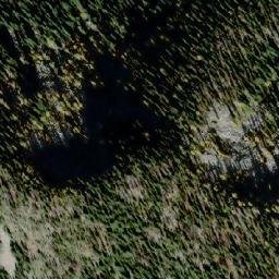 Satellite imagery of White Queen, CA