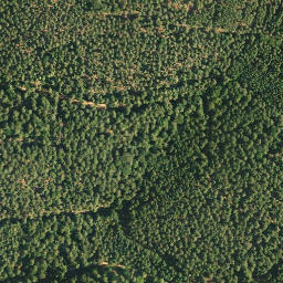 Satellite imagery of Eckberg, DE