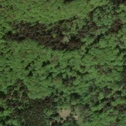 Satellite imagery of Moritzberg, DE