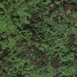 Satellite imagery of Moritzberg, DE