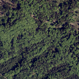 Satellite imagery of Frauenstein, DE