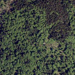 Satellite imagery of Frauenstein, DE