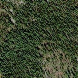Satellite imagery of White Queen, CA