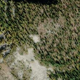 Satellite imagery of White Queen, CA