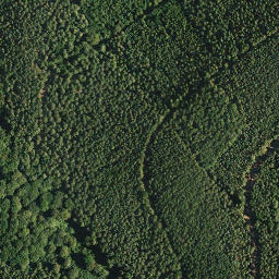 Satellite imagery of Russenkuppe, DE
