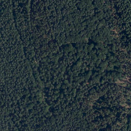 Satellite imagery of Dammberg, DE