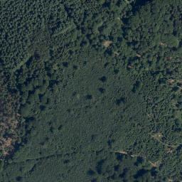 Satellite imagery of Dammberg, DE