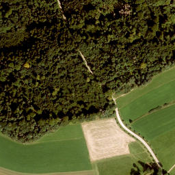 Satellite imagery of Steinbühl, DE