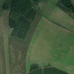 Satellite imagery of (Sousedký les [Bobrová]), CZ