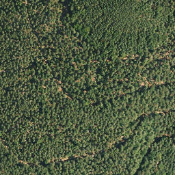 Satellite imagery of Eckberg, DE