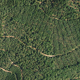 Satellite imagery of Eckberg, DE
