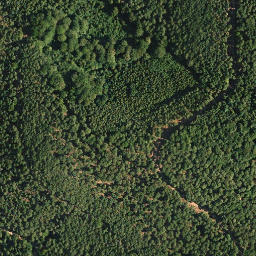 Satellite imagery of Russenkuppe, DE