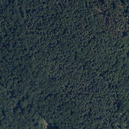 Satellite imagery of Dammberg, DE