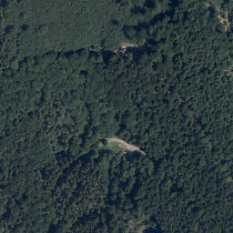 Satellite imagery of Dammberg, DE