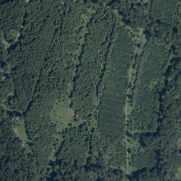 Satellite imagery of Dammberg, DE