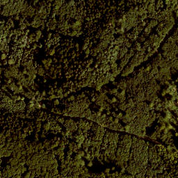 Satellite imagery of Buchenberg, DE