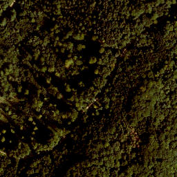 Satellite imagery of Buchenberg, DE