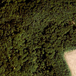 Satellite imagery of Buchenberg, DE