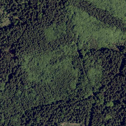 Satellite imagery of Březový kopec [Rybník-Švarcava], CZ