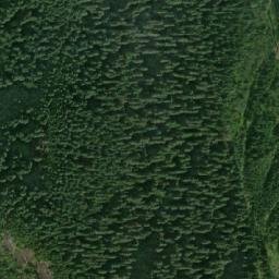 Satellite imagery of Jorgenson Peak, CA