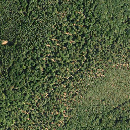 Satellite imagery of Russenkuppe, DE