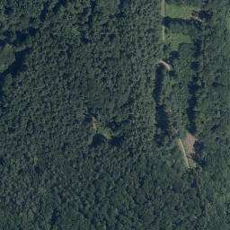 Satellite imagery of Hirschhorn Castle, DE