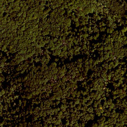 Satellite imagery of Buchenberg, DE