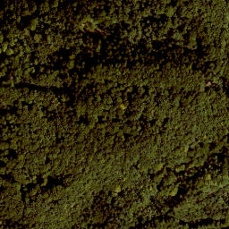 Satellite imagery of Buchenberg, DE