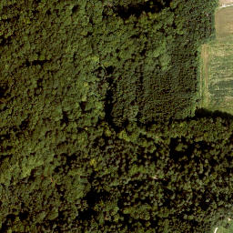 Satellite imagery of Buchenberg, DE