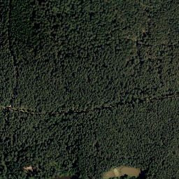 Satellite imagery of Kirchberg, DE