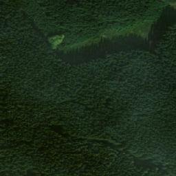 Satellite imagery of (Sousedký les [Bobrová]), CZ