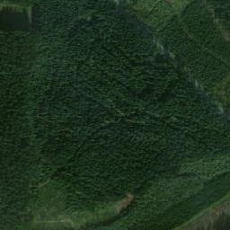 Satellite imagery of (Sousedký les [Bobrová]), CZ