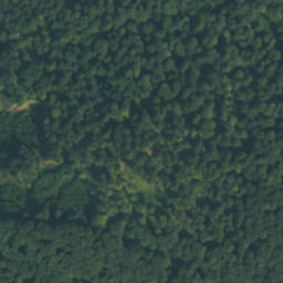 Satellite imagery of survey_point, PL